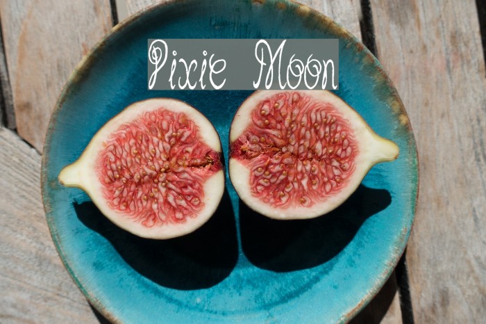Pixie Moon Font examples