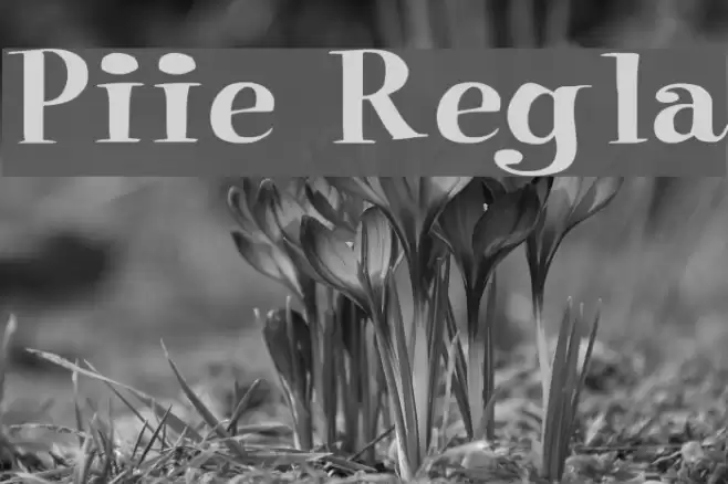 Pixie Regular Font examples