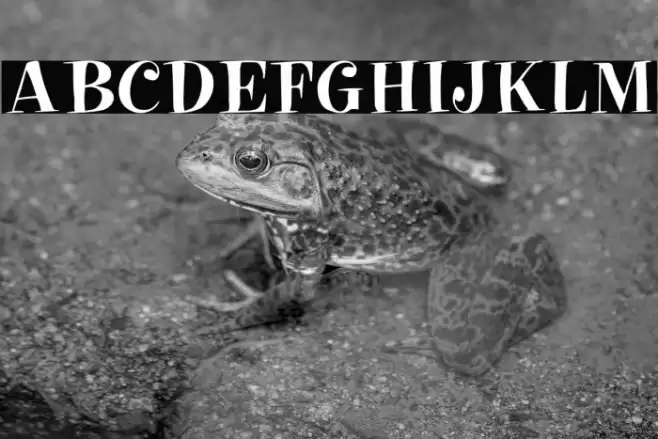 PixieFont خط examples