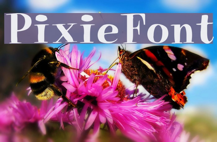 PixieFont Font examples