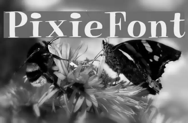 PixieFont フォント examples
