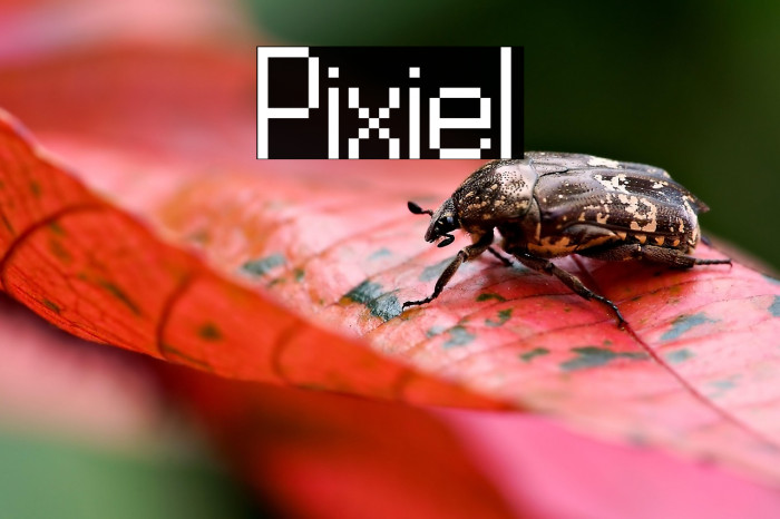 Pixiel Example 2