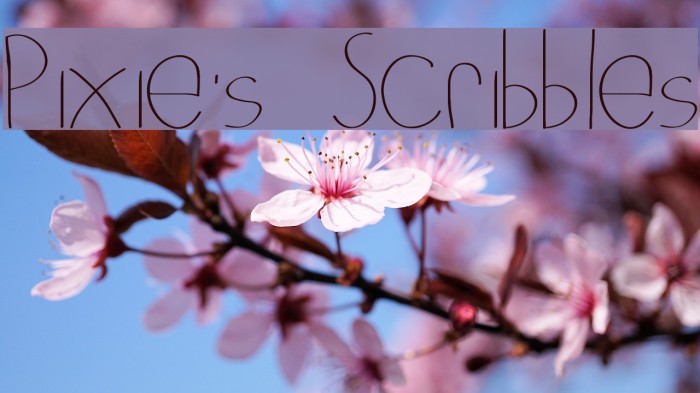 Pixie's Scribbles Font examples