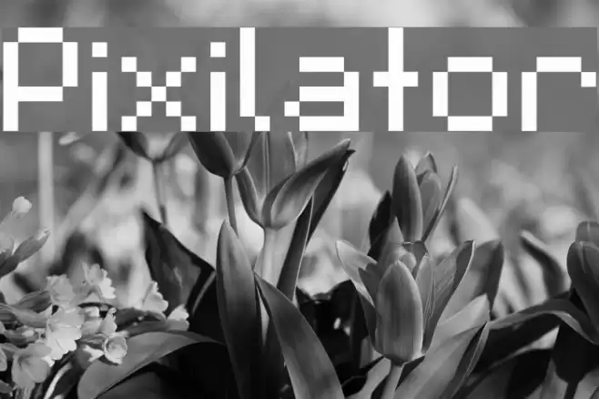 Pixilator Font examples