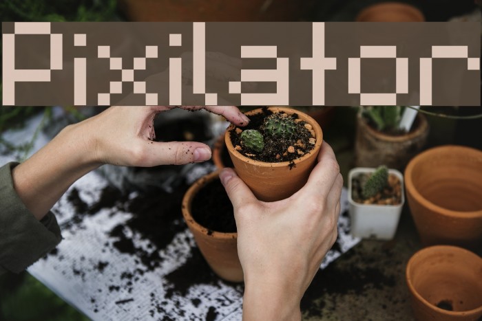 Pixilator Font examples