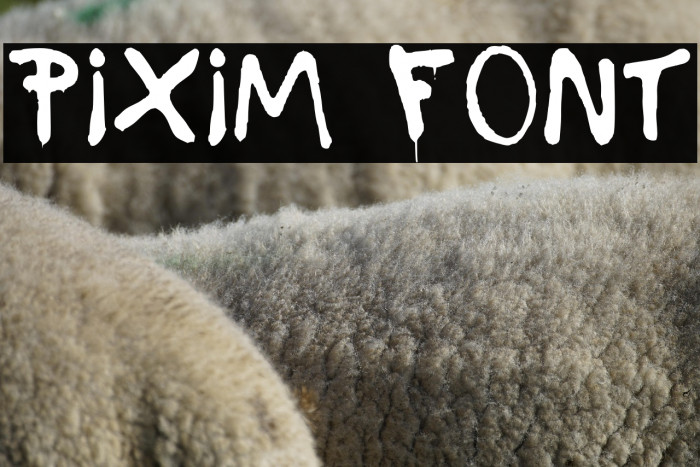 Pixim Example 3