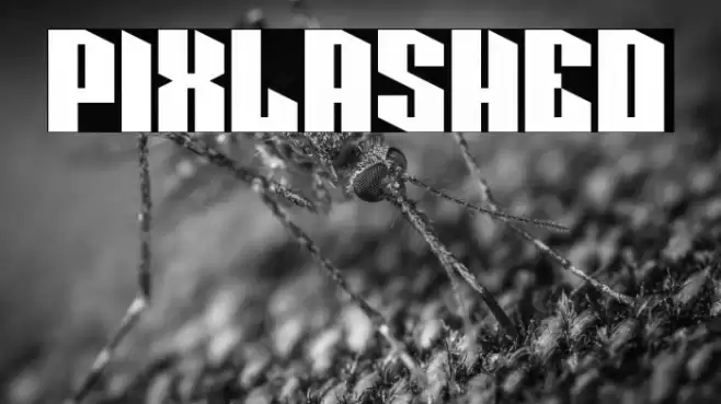 Pixlashed Font examples