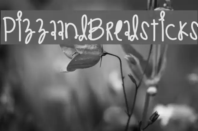 PizzaAndBreadsticks Fuentes examples