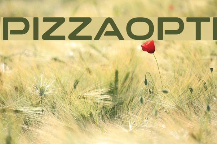 PizzaOpti Font examples