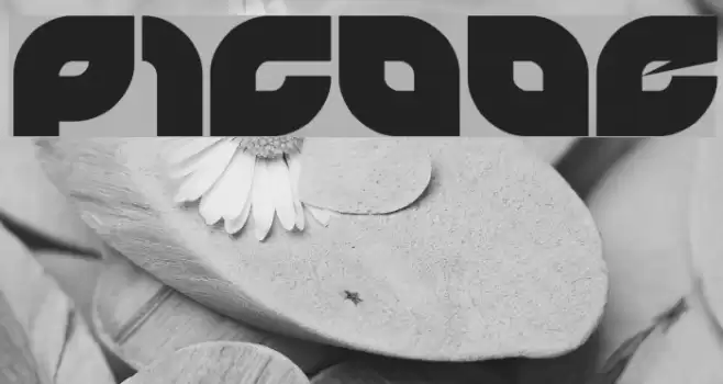 picaae Font examples