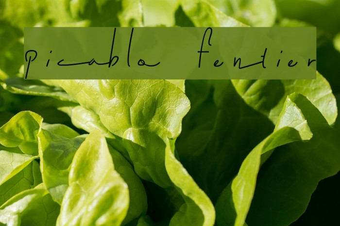 picablo fentier Example 1