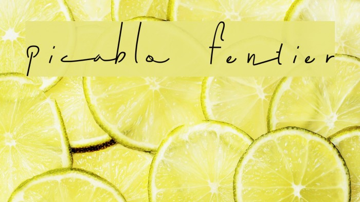 picablo fentier Example 2