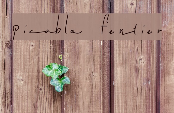 picablo fentier Example 3