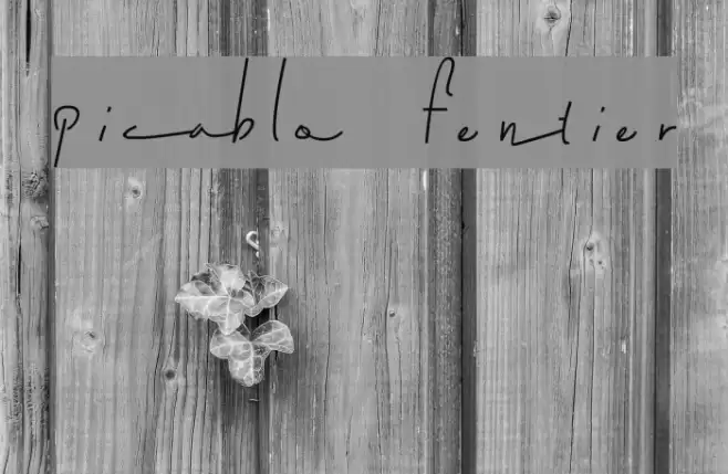 picablo fentier Font examples