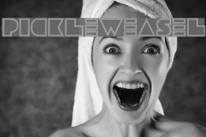 pickleweasel Font examples