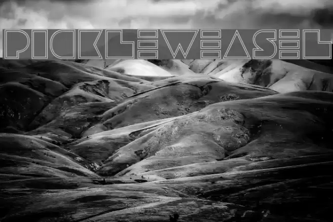 pickleweasel Font examples