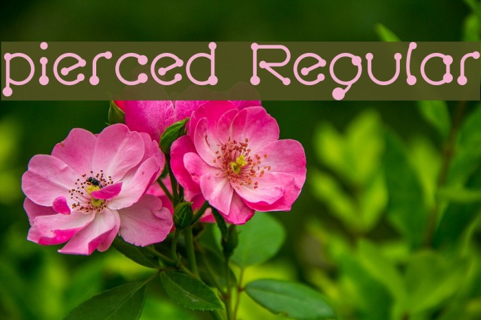 pierced Regular Font examples