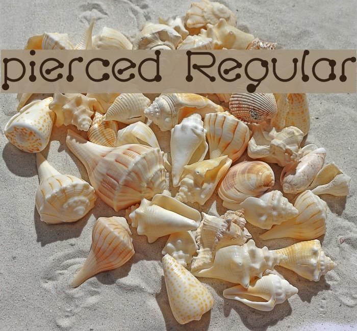 pierced Regular Font examples