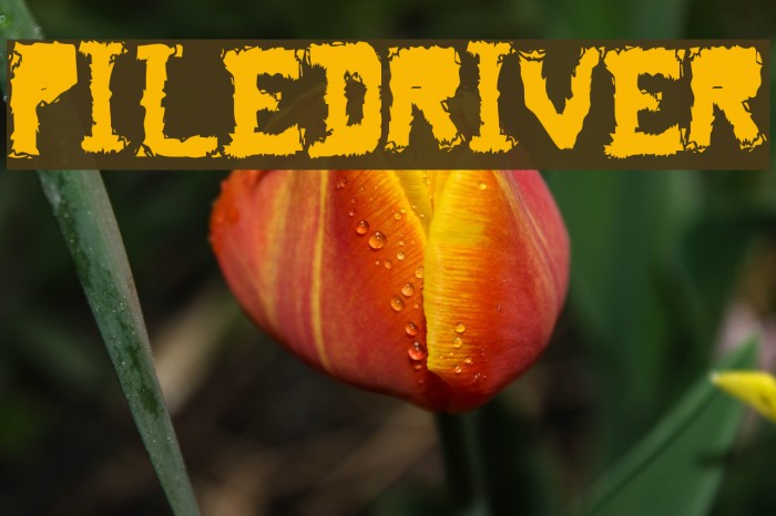 piledriver Font examples