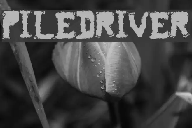 piledriver خط examples