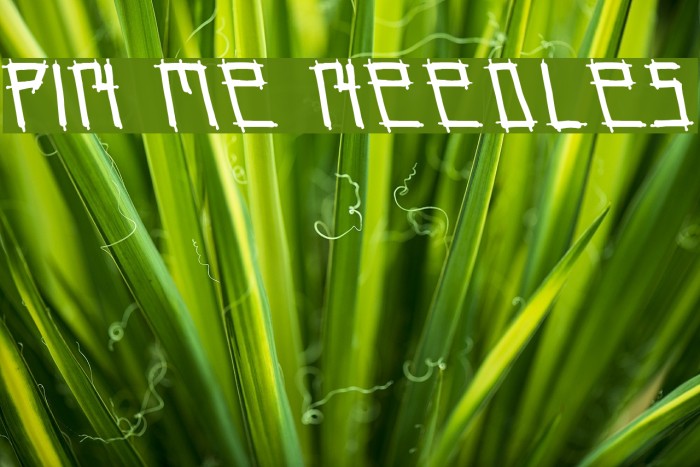 pin me needles Font examples