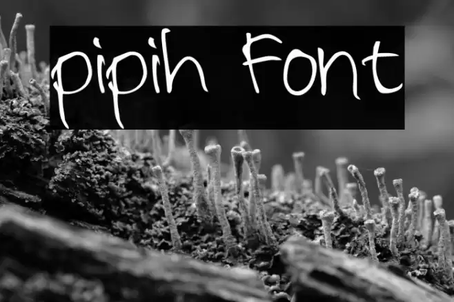 pipih Font examples