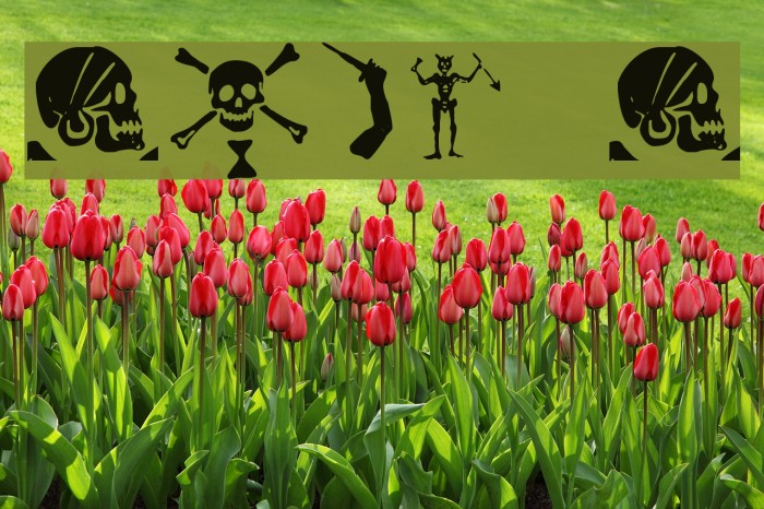 pirates pw Font examples