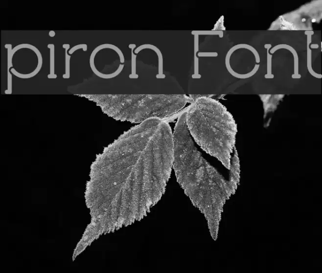 piron Font examples