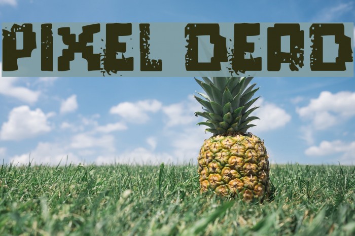 pixel dead Font examples