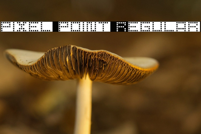 pixel point Regular Example 1