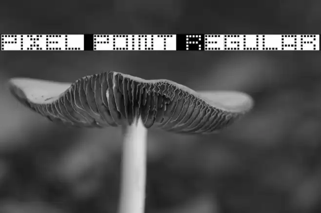 pixel point Regular Font examples