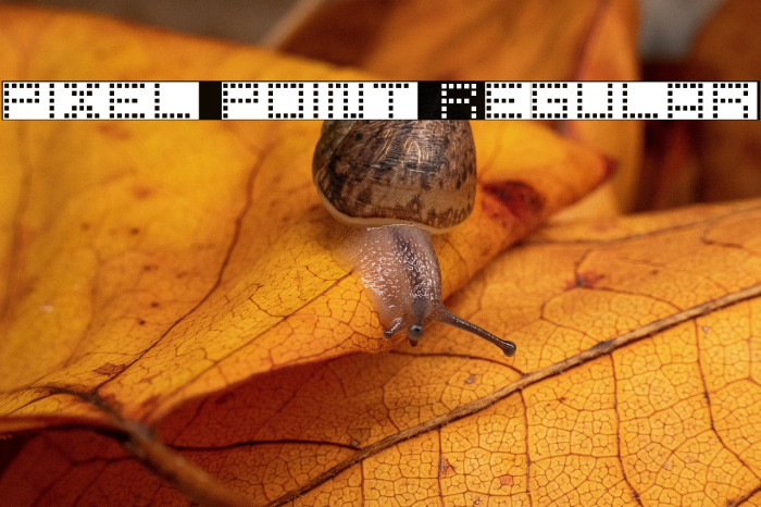 pixel point Regular Example 2