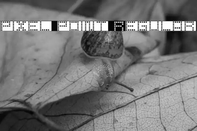 pixel point Regular Font examples