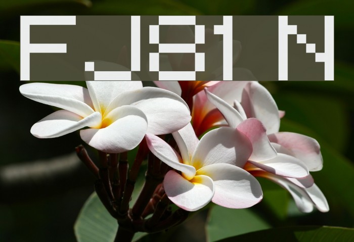 pixelFJ8pt1 Normal Font examples