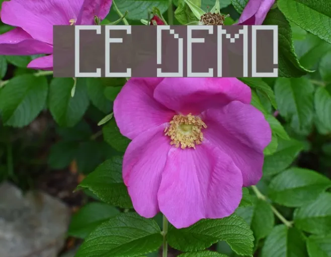 pixelanky CE DEMO Example 1