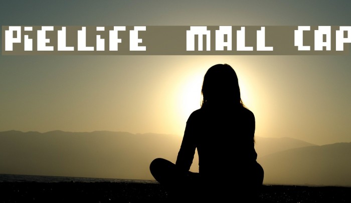 pixellife small cap Font examples