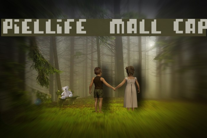 pixellife small cap Font examples
