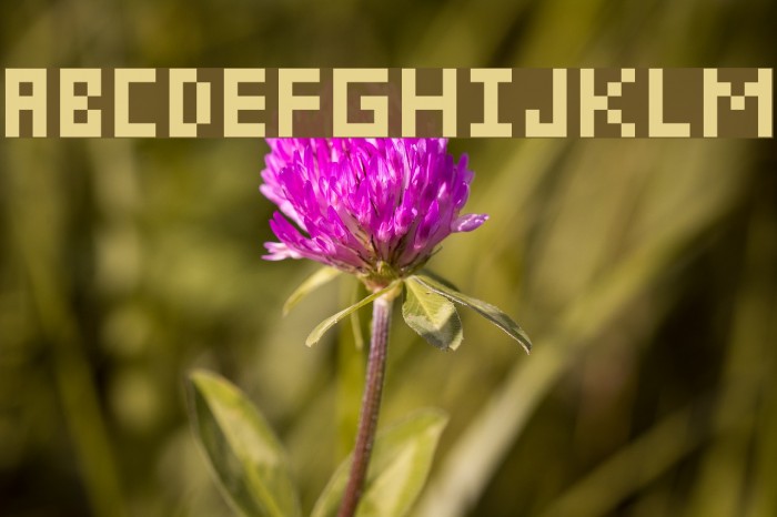 pixelmix micro Regular Font examples