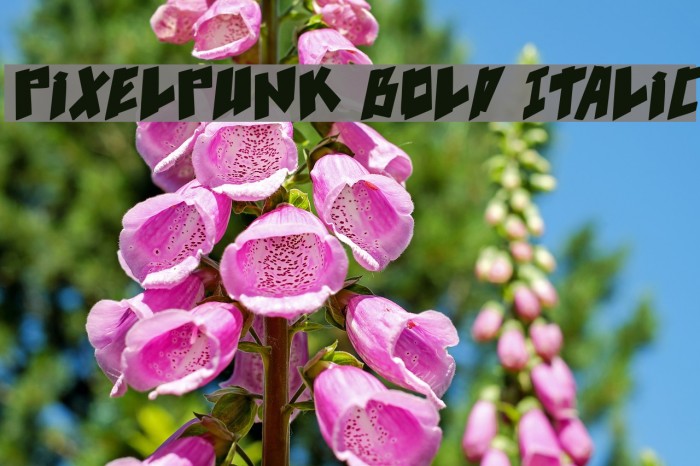 pixelpunk Bold Italic Example 1