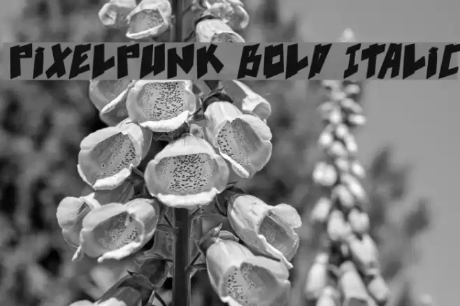 pixelpunk Bold Italic Font examples