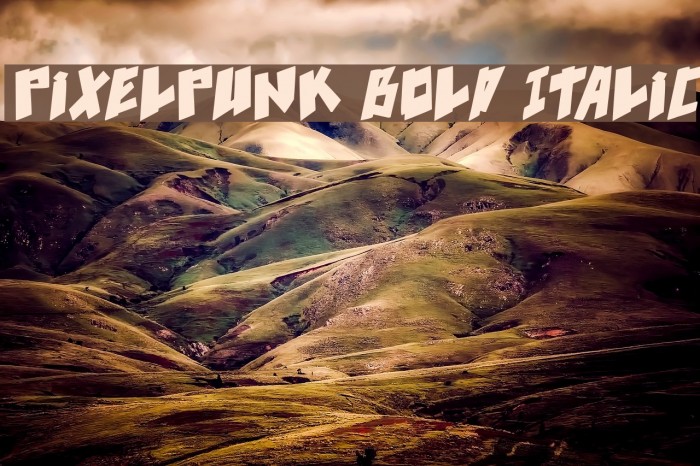 pixelpunk Bold Italic Example 3
