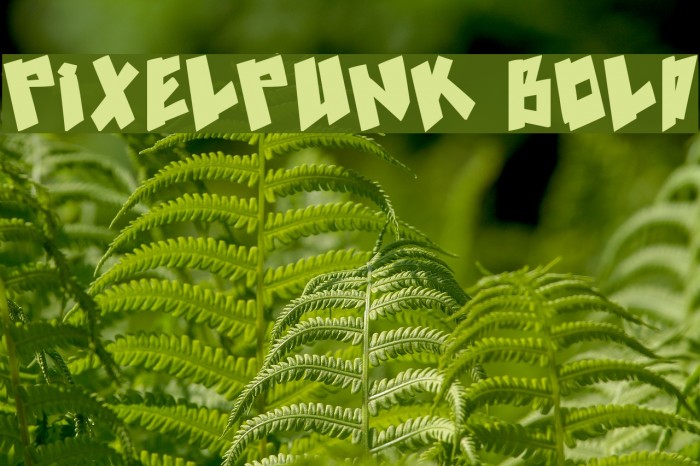 pixelpunk Bold Font examples