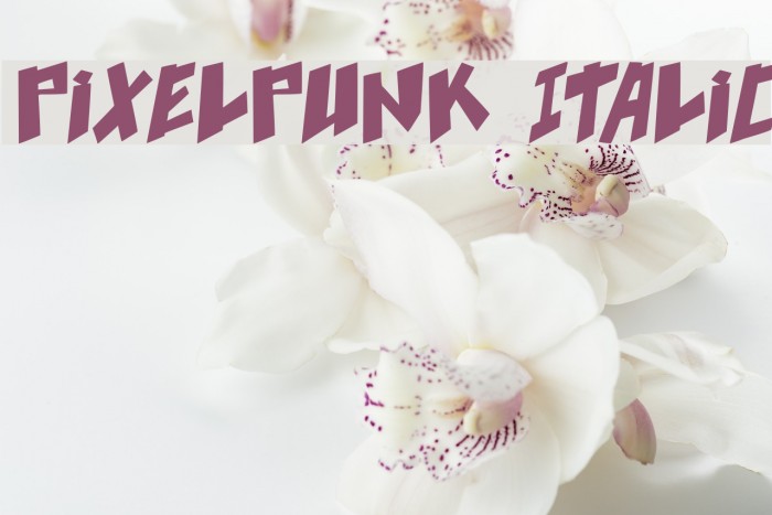 pixelpunk Italic Example 1