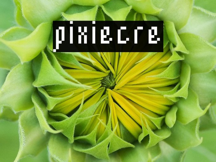 pixiecre Example 3