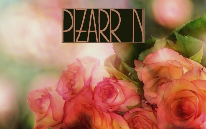pizarrón Font examples