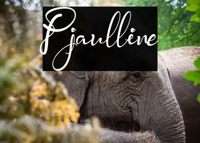 Pjaulline Example 1
