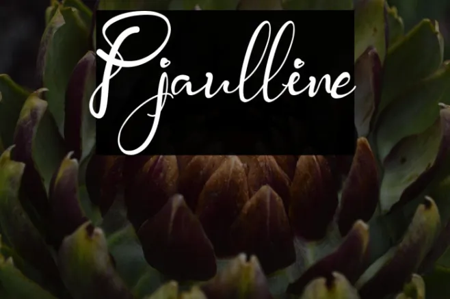Pjaulline Example 3