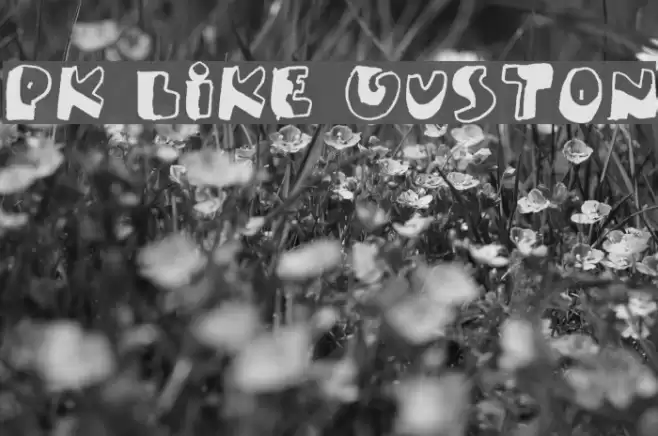 PK Like Guston Schriftart examples