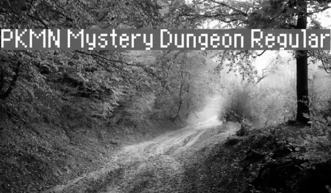 PKMN Mystery Dungeon Regular Font examples