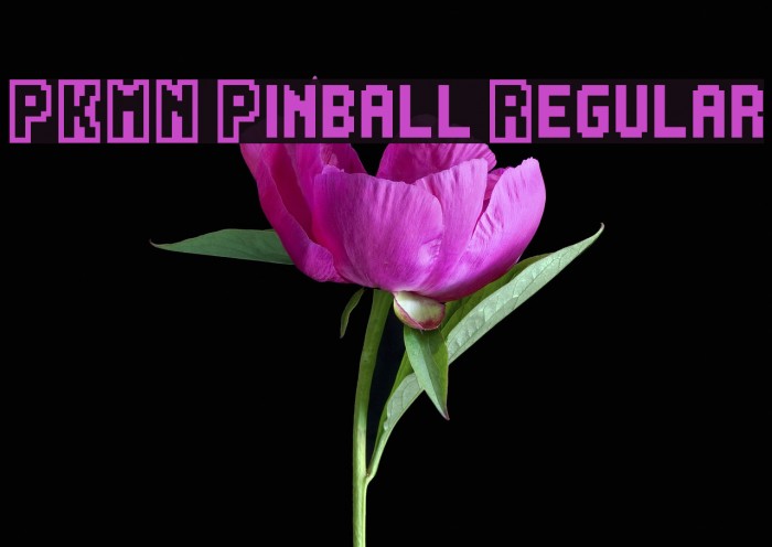PKMN Pinball Regular Font examples